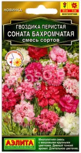 Гвоздика перистая Соната бахромчатая, смесь