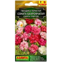 Гвоздика перистая Соната бахромчатая, смесь