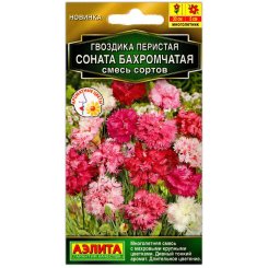 Гвоздика перистая Соната бахромчатая, смесь