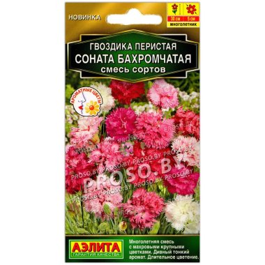 Гвоздика перистая Соната бахромчатая, смесь