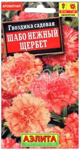 Гвоздика садовая Шабо нежный щербет