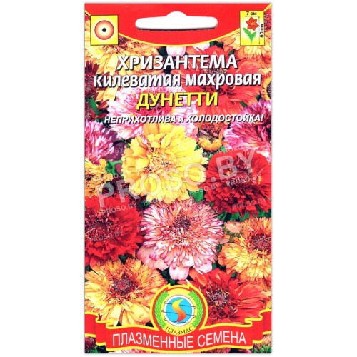Хризантема Дунетти, смесь