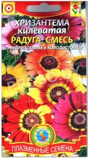 Хризантема килеватая Радуга, смесь
