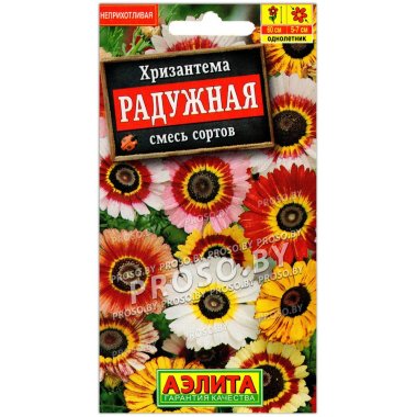 Хризантема Радужная, смесь