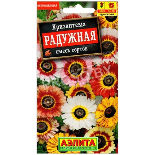 Хризантема Радужная, смесь
