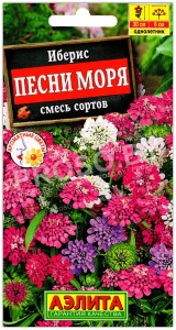 Иберис Песни моря, смесь