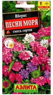 Иберис Песни моря, смесь