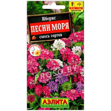 Иберис Песни моря, смесь