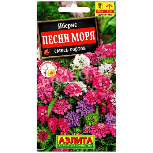 Иберис Песни моря, смесь