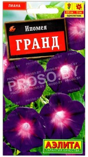Ипомея Гранд