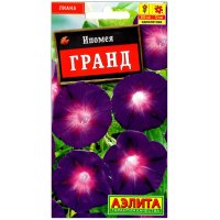 Ипомея Гранд