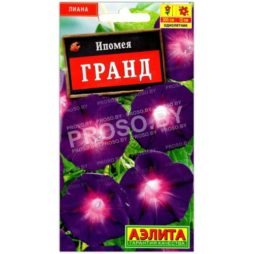 Ипомея Гранд