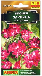 Ипомея махровая Зарница