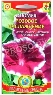 Ипомея Розовое наслаждение