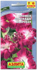 Ипомея Серенада