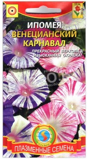 Ипомея Венецианский карнавал
