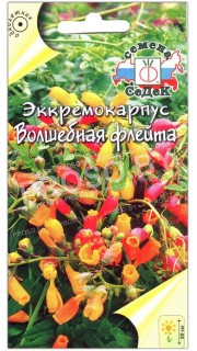 Эккремокарпус Волшебная флейта