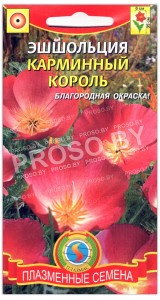 Эшшольция Карминный король