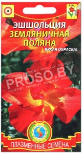Эшшольция Земляничная поляна
