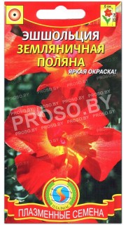 Эшшольция Земляничная поляна