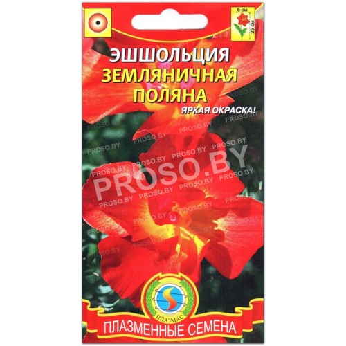 Эшшольция Земляничная поляна
