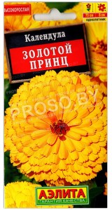 Календула Золотой принц