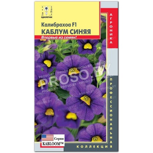 Калибрахоа Каблум синяя F1