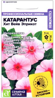 Катарантус Хит вейв эприкот