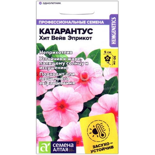 Катарантус Хит вейв эприкот