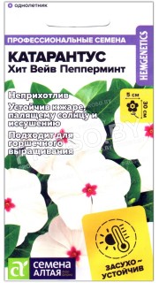 Катарантус Хит вейв пепперминт