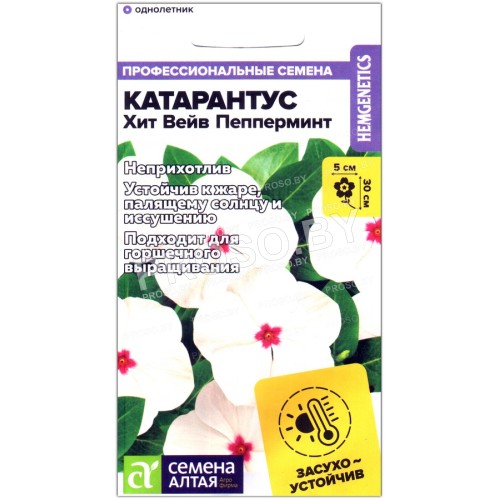 Катарантус Хит вейв пепперминт