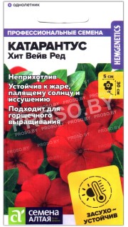 Катарантус Хит вейв ред