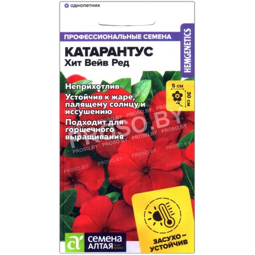 Катарантус Хит вейв ред