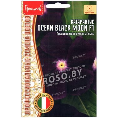 Катарантус Ocean black moon F1