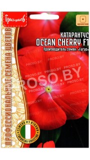 Катарантус Ocean cherry F1