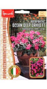 Катарантус Ocean deep orhid F1