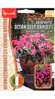 Катарантус Ocean deep orhid F1