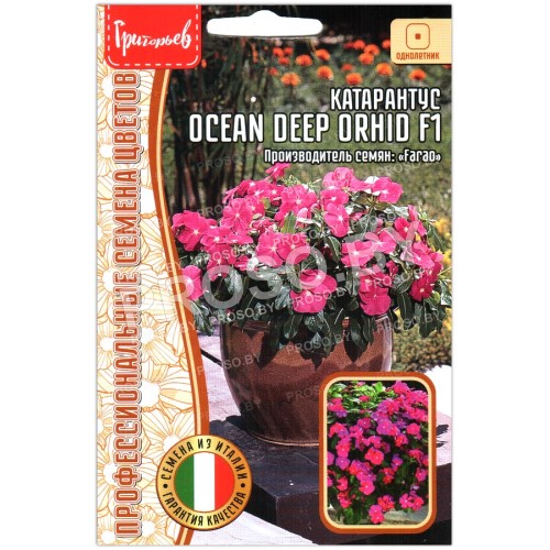 Катарантус Ocean deep orhid F1