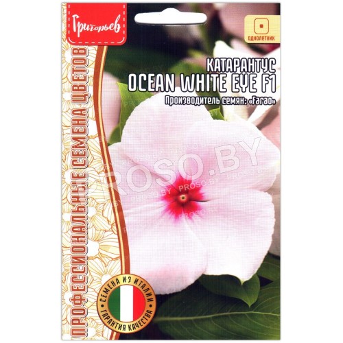 Катарантус Ocean white eye F1