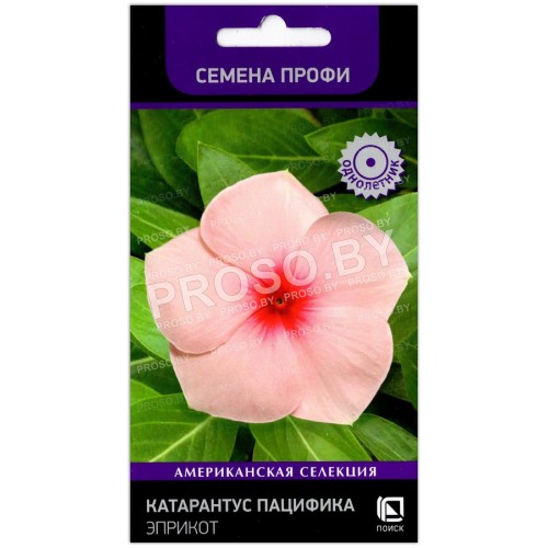 Катарантус Пацифика эприкот