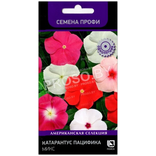 Катарантус пацифика Микс