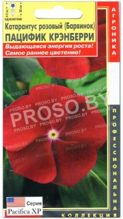 Катарантус розовый Пацифик крэнберри