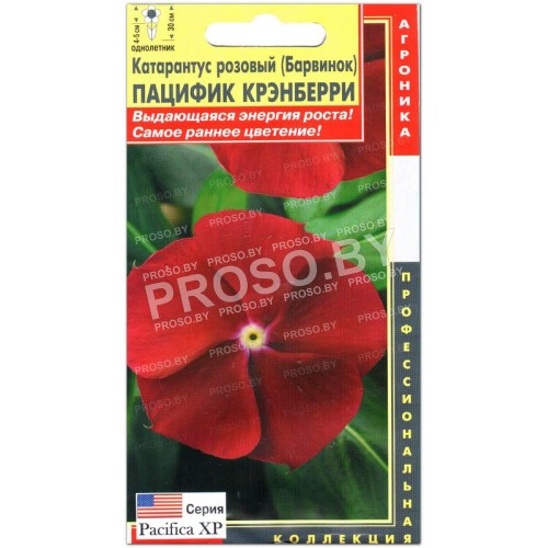 Катарантус розовый Пацифик крэнберри