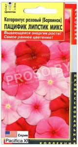 Катарантус розовый Пацифик липстик микс