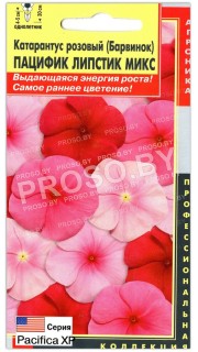 Катарантус розовый Пацифик липстик микс