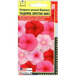 Катарантус розовый Пацифик липстик микс