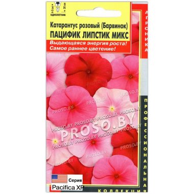 Катарантус розовый Пацифик липстик микс