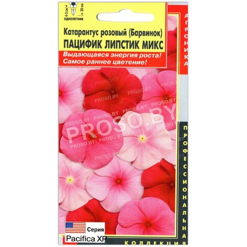 Катарантус розовый Пацифик липстик микс