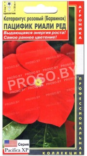 Катарантус розовый Пацифик риали ред