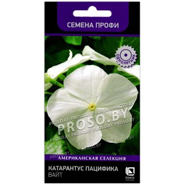 Катарантус розовый Пацифик вайт